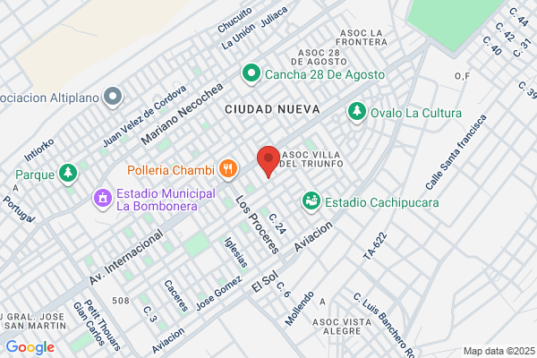 Organiz De Importacion Y Exportacion Sa