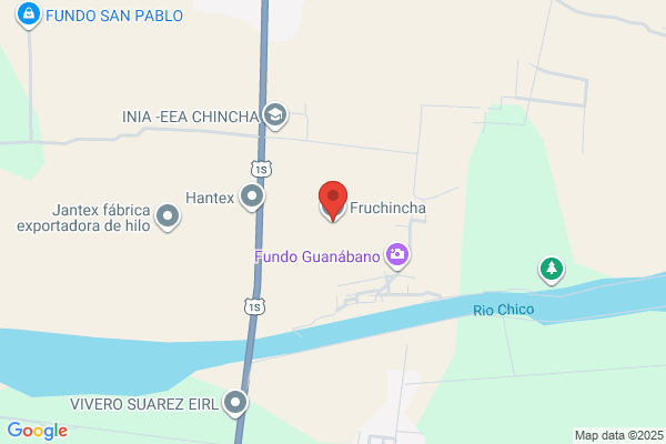 Chincha Export S.A.