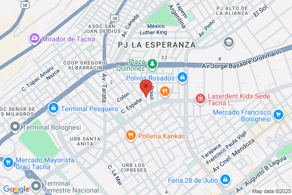Consorcio Pacifico Sur Srl