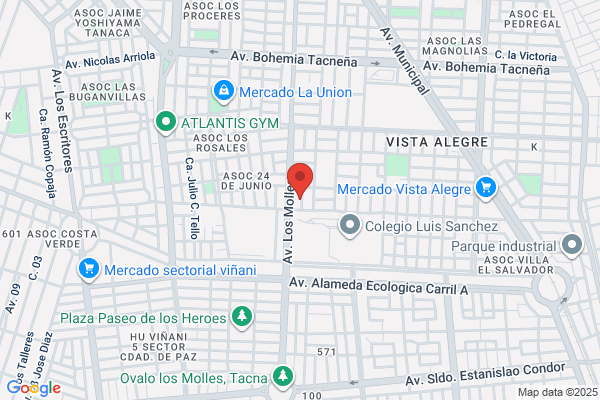 Pacific Franchise Developers S.A.
