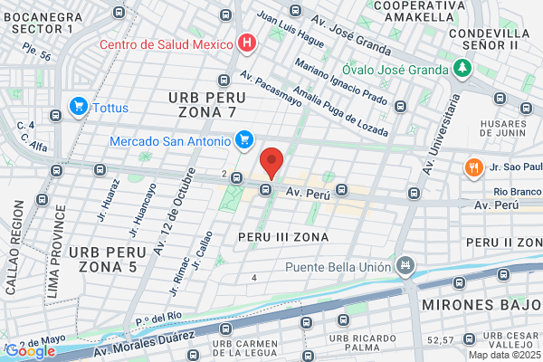 Rosas & Peluches