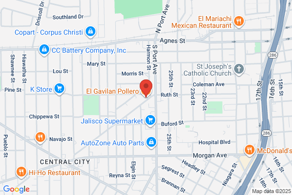 El Gavilan Pollero