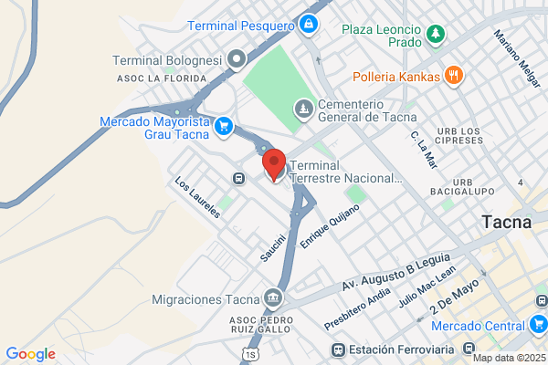 Expreso Internacional Ormeño S.A.