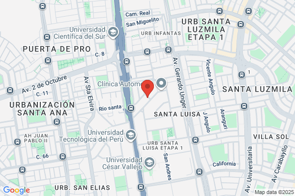 Transportes Vista Alegre S.A.