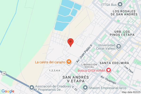 A & M Transporte