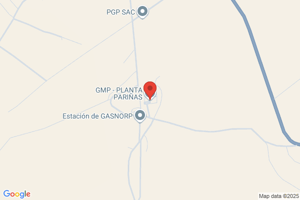 Gmp -Vegsa Asociados